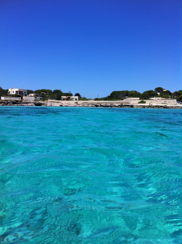  Excursiones de barco 